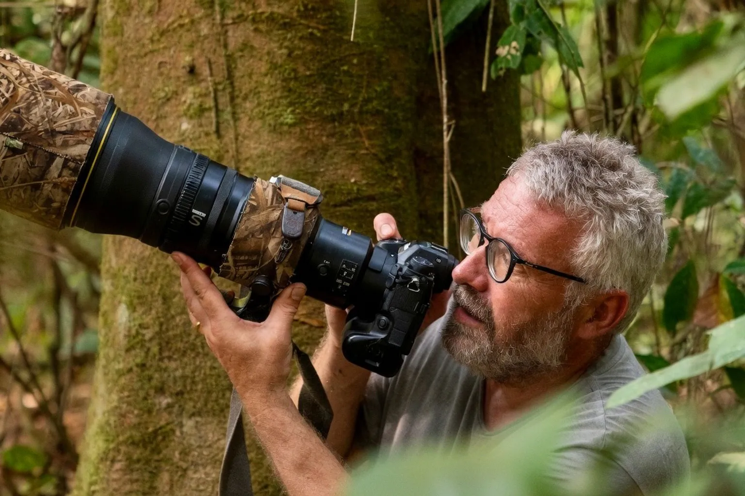 Photographie animalière : au-delà de l'image virale du renard