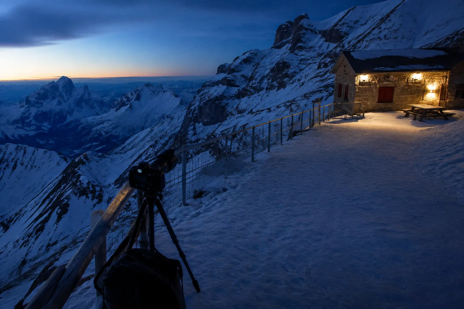 Wildlife Photographer of the Year 2026 : les clichés marquants et leurs coulisses