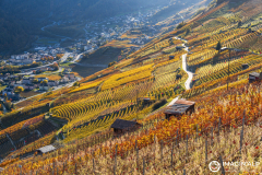 Photographie-nature-et-documentaire-a-La-Mure-Isere-Matheysine-Grenoble-Alpes-©-Brieuc-Coessens-122