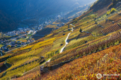 Photographie-nature-et-documentaire-a-La-Mure-Isere-Matheysine-Grenoble-Alpes-©-Brieuc-Coessens-123