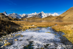 Photographie-nature-et-documentaire-a-La-Mure-Isere-Matheysine-Grenoble-Alpes-©-Brieuc-Coessens-127
