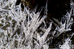 Photographie-nature-et-documentaire-a-La-Mure-Isere-Matheysine-Grenoble-Alpes-©-Brieuc-Coessens-128