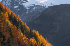 Photographie-nature-et-documentaire-a-La-Mure-Isere-Matheysine-Grenoble-Alpes-©-Brieuc-Coessens-135