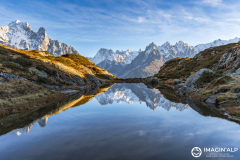 Photographie-nature-et-documentaire-a-La-Mure-Isere-Matheysine-Grenoble-Alpes-©-Brieuc-Coessens-152