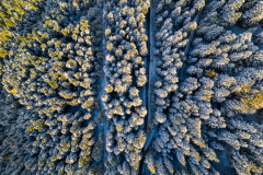Paysages-de-Matheysine_Photographie-aerienne-drone-©-Brieuc-Coessens-ImaginAlp_Photographe-realisation-video-drone-Alpes-Isere-12