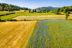 Paysages-de-Matheysine_Photographie-aerienne-drone-©-Brieuc-Coessens-ImaginAlp_Photographe-realisation-video-drone-Alpes-Isere-13