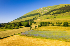 Paysages-de-Matheysine_Photographie-aerienne-drone-©-Brieuc-Coessens-ImaginAlp_Photographe-realisation-video-drone-Alpes-Isere-16