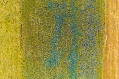 Paysages-de-Matheysine_Photographie-aerienne-drone-©-Brieuc-Coessens-ImaginAlp_Photographe-realisation-video-drone-Alpes-Isere-19