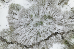 Paysages-de-Matheysine_Photographie-aerienne-drone-©-Brieuc-Coessens-ImaginAlp_Photographe-realisation-video-drone-Alpes-Isere-2