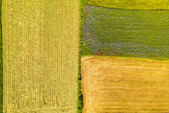 Paysages-de-Matheysine_Photographie-aerienne-drone-©-Brieuc-Coessens-ImaginAlp_Photographe-realisation-video-drone-Alpes-Isere-27