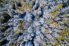 Paysages-de-Matheysine_Photographie-aerienne-drone-©-Brieuc-Coessens-ImaginAlp_Photographe-realisation-video-drone-Alpes-Isere-37