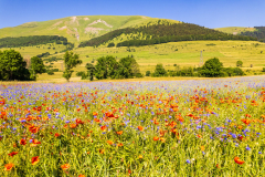 Paysages-de-Matheysine_Photographie-aerienne-drone-©-Brieuc-Coessens-ImaginAlp_Photographe-realisation-video-drone-Alpes-Isere-4