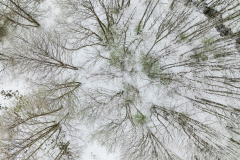 Paysages-de-Matheysine_Photographie-aerienne-drone-©-Brieuc-Coessens-ImaginAlp_Photographe-realisation-video-drone-Alpes-Isere-45