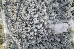 Paysages-de-Matheysine_Photographie-aerienne-drone-©-Brieuc-Coessens-ImaginAlp_Photographe-realisation-video-drone-Alpes-Isere-47