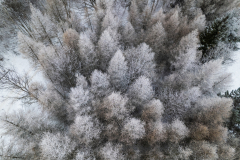 Paysages-de-Matheysine_Photographie-aerienne-drone-©-Brieuc-Coessens-ImaginAlp_Photographe-realisation-video-drone-Alpes-Isere-76