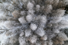 Paysages-de-Matheysine_Photographie-aerienne-drone-©-Brieuc-Coessens-ImaginAlp_Photographe-realisation-video-drone-Alpes-Isere-77