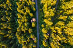 Paysages-de-Matheysine_Photographie-aerienne-drone-©-Brieuc-Coessens-ImaginAlp_Photographe-realisation-video-drone-Alpes-Isere-92