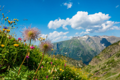 Crepuscule-dautomne-sur-la-mer-de-nuages-recouvrant-la-Matheysine-©-Brieuc-Coessens-ImaginAlp_Photographe-realisation-video-drone-Alpes-Isere-10