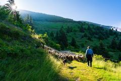 Paysages-de-Matheysine-©-Brieuc-Coessens-ImaginAlp_Photographe-realisation-video-drone-Alpes-Isere-111