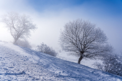 Paysages-de-Matheysine-©-Brieuc-Coessens-ImaginAlp_Photographe-realisation-video-drone-Alpes-Isere-115