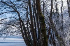 Paysages-de-Matheysine-©-Brieuc-Coessens-ImaginAlp_Photographe-realisation-video-drone-Alpes-Isere-118