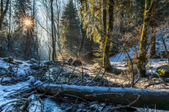 Paysages-de-Matheysine-©-Brieuc-Coessens-ImaginAlp_Photographe-realisation-video-drone-Alpes-Isere-122