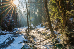 Paysages-de-Matheysine-©-Brieuc-Coessens-ImaginAlp_Photographe-realisation-video-drone-Alpes-Isere-123