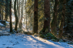 Paysages-de-Matheysine-©-Brieuc-Coessens-ImaginAlp_Photographe-realisation-video-drone-Alpes-Isere-124