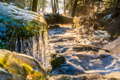 Paysages-de-Matheysine-©-Brieuc-Coessens-ImaginAlp_Photographe-realisation-video-drone-Alpes-Isere-128