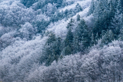 Paysages-de-Matheysine-©-Brieuc-Coessens-ImaginAlp_Photographe-realisation-video-drone-Alpes-Isere-141