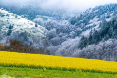 Paysages-de-Matheysine-©-Brieuc-Coessens-ImaginAlp_Photographe-realisation-video-drone-Alpes-Isere-142