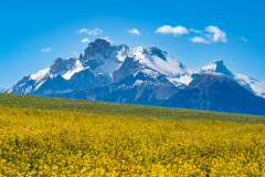 Paysages-de-Matheysine-©-Brieuc-Coessens-ImaginAlp_Photographe-realisation-video-drone-Alpes-Isere-143