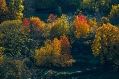 Paysages-de-Matheysine-©-Brieuc-Coessens-ImaginAlp_Photographe-realisation-video-drone-Alpes-Isere-147