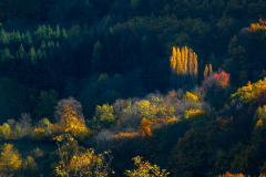 Paysages-de-Matheysine-©-Brieuc-Coessens-ImaginAlp_Photographe-realisation-video-drone-Alpes-Isere-148