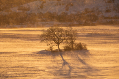 Paysages-de-Matheysine-©-Brieuc-Coessens-ImaginAlp_Photographe-realisation-video-drone-Alpes-Isere-157