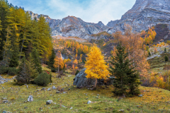 Paysages-de-Matheysine-©-Brieuc-Coessens-ImaginAlp_Photographe-realisation-video-drone-Alpes-Isere-158