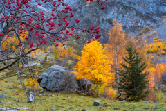 Paysages-de-Matheysine-©-Brieuc-Coessens-ImaginAlp_Photographe-realisation-video-drone-Alpes-Isere-159