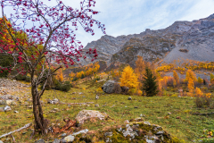 Paysages-de-Matheysine-©-Brieuc-Coessens-ImaginAlp_Photographe-realisation-video-drone-Alpes-Isere-160