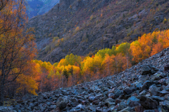 Paysages-de-Matheysine-©-Brieuc-Coessens-ImaginAlp_Photographe-realisation-video-drone-Alpes-Isere-161