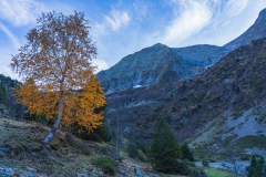 Paysages-de-Matheysine-©-Brieuc-Coessens-ImaginAlp_Photographe-realisation-video-drone-Alpes-Isere-162