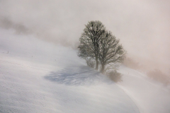Paysages-de-Matheysine-©-Brieuc-Coessens-ImaginAlp_Photographe-realisation-video-drone-Alpes-Isere-170