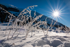 Paysages-de-Matheysine-©-Brieuc-Coessens-ImaginAlp_Photographe-realisation-video-drone-Alpes-Isere-176