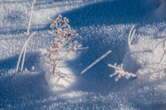 Paysages-de-Matheysine-©-Brieuc-Coessens-ImaginAlp_Photographe-realisation-video-drone-Alpes-Isere-178