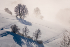 Paysages-de-Matheysine-©-Brieuc-Coessens-ImaginAlp_Photographe-realisation-video-drone-Alpes-Isere-179