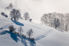 Paysages-de-Matheysine-©-Brieuc-Coessens-ImaginAlp_Photographe-realisation-video-drone-Alpes-Isere-2