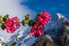 Paysages-de-Matheysine-©-Brieuc-Coessens-ImaginAlp_Photographe-realisation-video-drone-Alpes-Isere-20