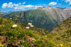 Paysages-de-Matheysine-©-Brieuc-Coessens-ImaginAlp_Photographe-realisation-video-drone-Alpes-Isere-47