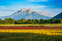 Paysages-de-Matheysine-©-Brieuc-Coessens-ImaginAlp_Photographe-realisation-video-drone-Alpes-Isere-7