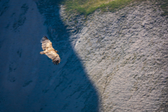 Paysages-de-Matheysine-©-Brieuc-Coessens-ImaginAlp_Photographe-realisation-video-drone-Alpes-Isere-72