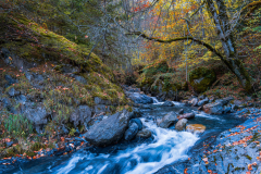 Paysages-de-Matheysine-©-Brieuc-Coessens-ImaginAlp_Photographe-realisation-video-drone-Alpes-Isere-77